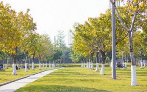 你不可能成为别人_西数超哥博客