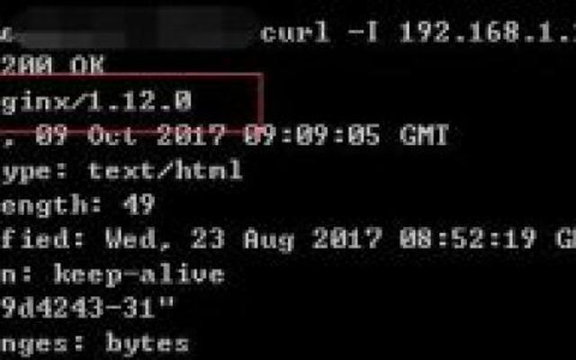 Nginx如何修改版本信息或者隐藏版本号_西数超哥博客