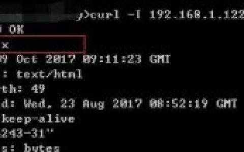 Nginx如何修改版本信息或者隐藏版本号_西数超哥博客