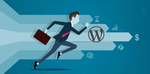 解决WordPress打开速度变慢的7个方法技巧 WordPress 第1张