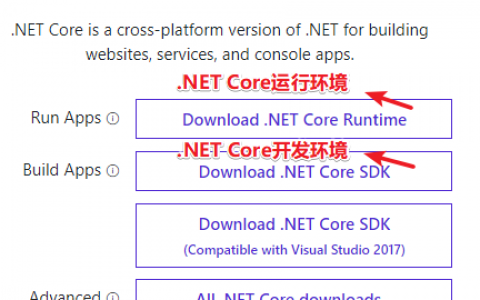 Win2008安装.NET Core2.2环境详细图文安装教程